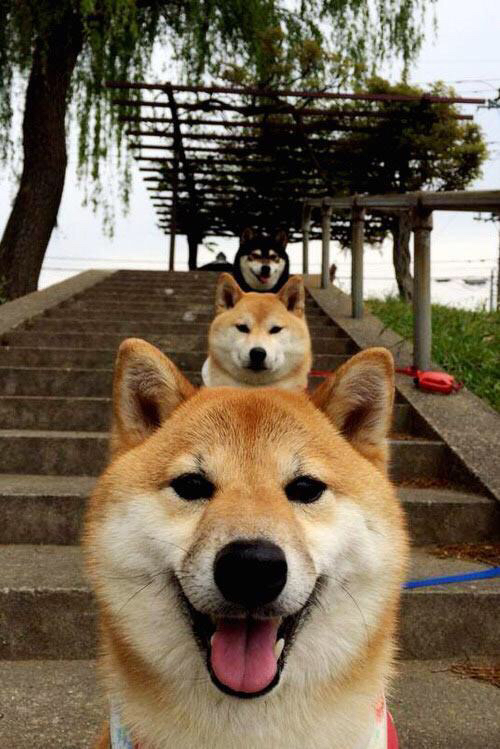 加冕之夜,阿克如何用一记绝杀改写历史