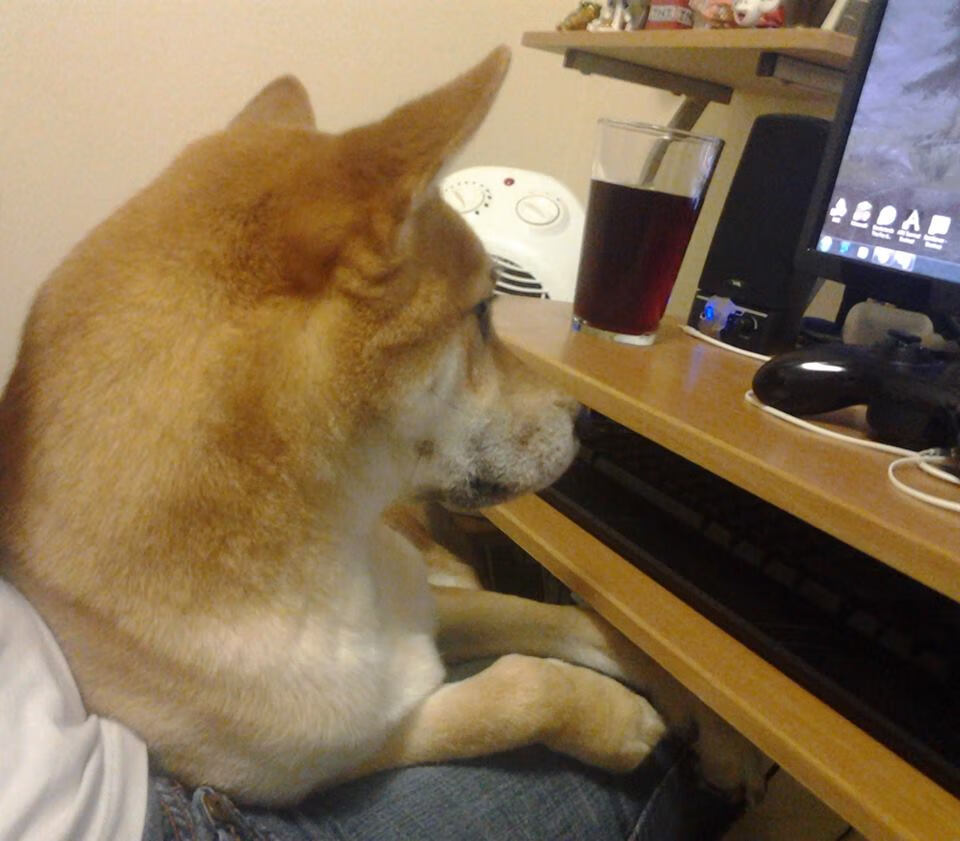 封锁与舞台,当钢铁防线遇见季后赛之光