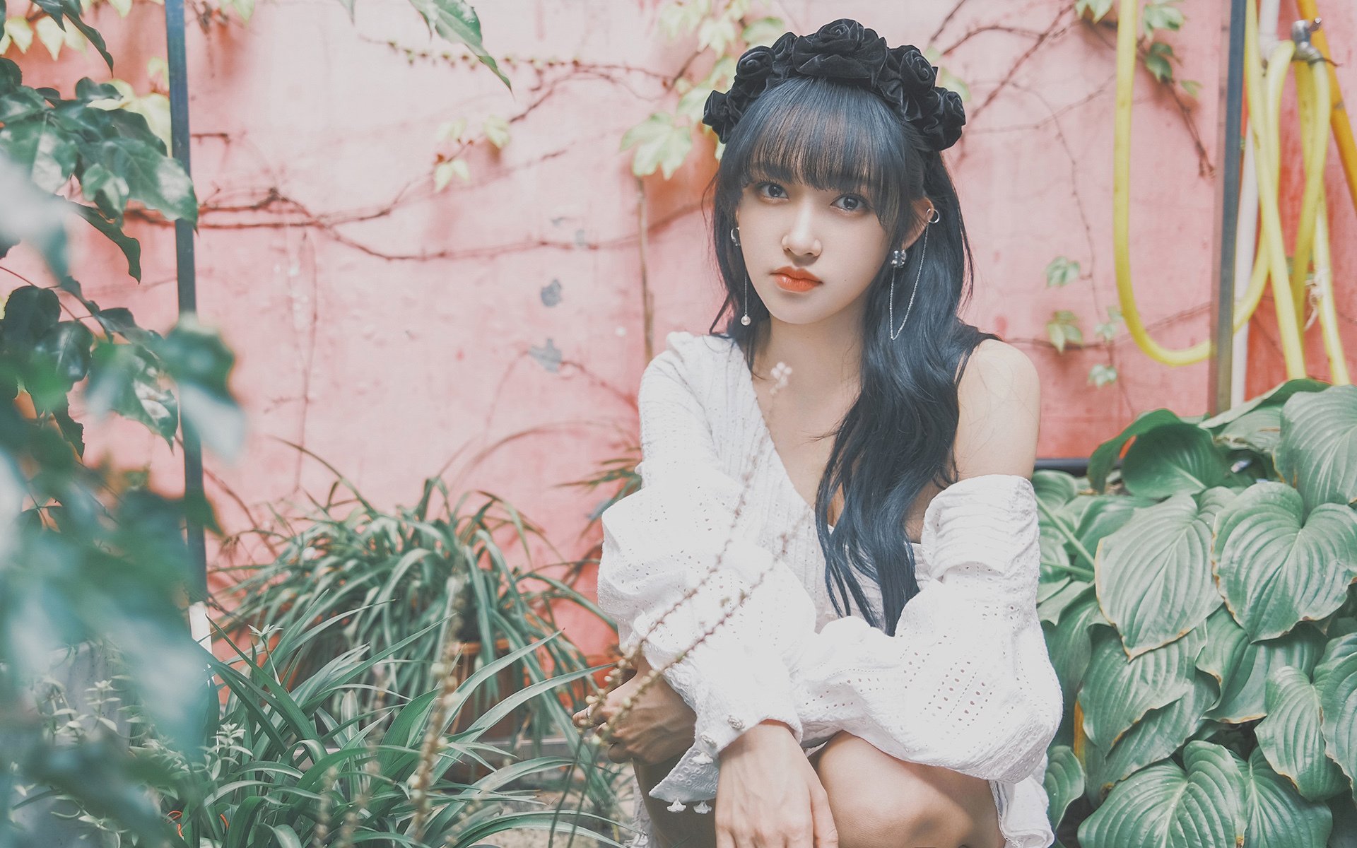 约基奇点燃丹佛，辽宁队粉碎纽约