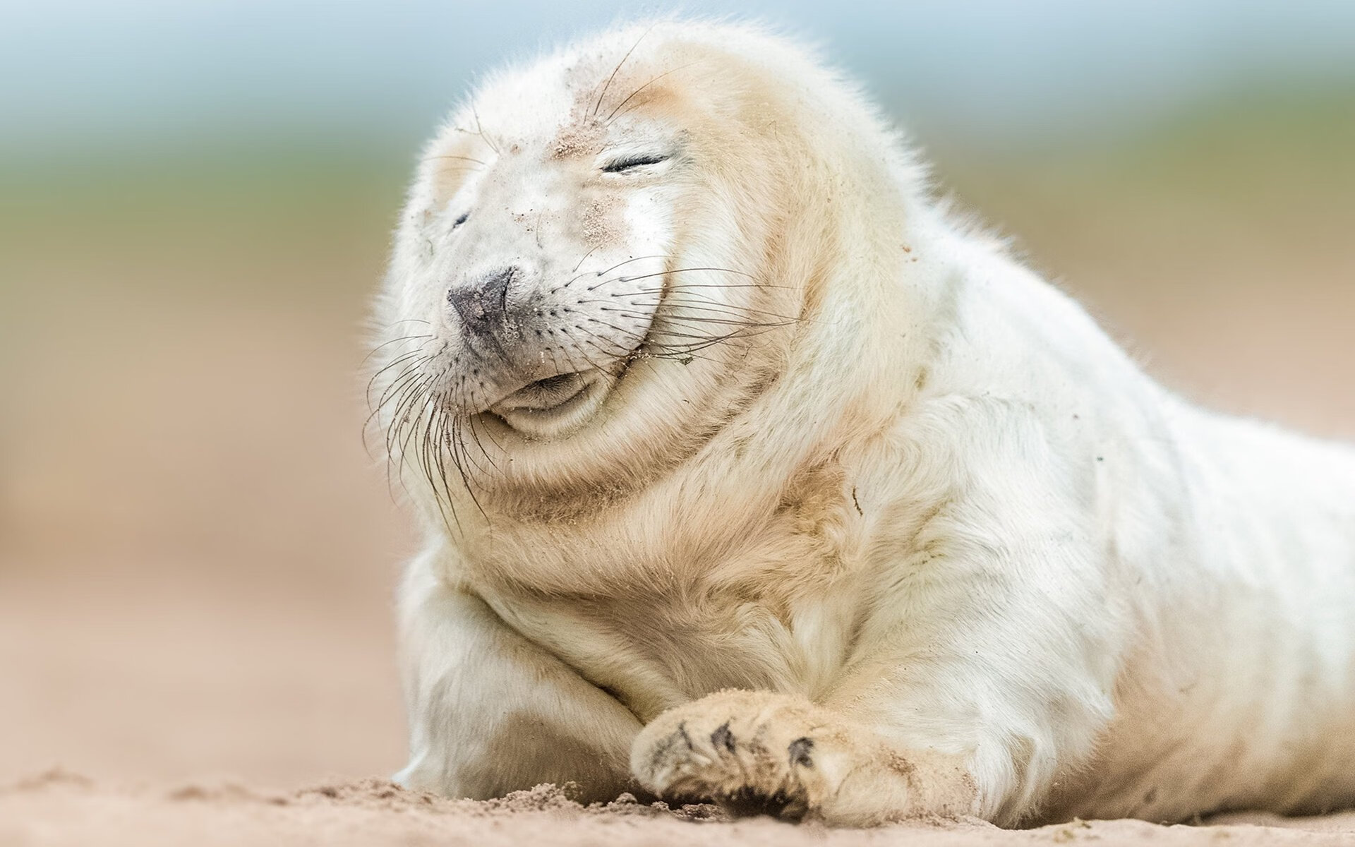 教科书级控制力遇上闪电战艺术，法比尼奥与哥伦比亚分别定义足球的两种胜利