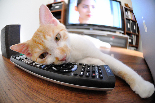 雷火电竞主播-终极信任与窒息死守，库里国家德比妙传制胜与广东队加时封锁奇才的唯一密码