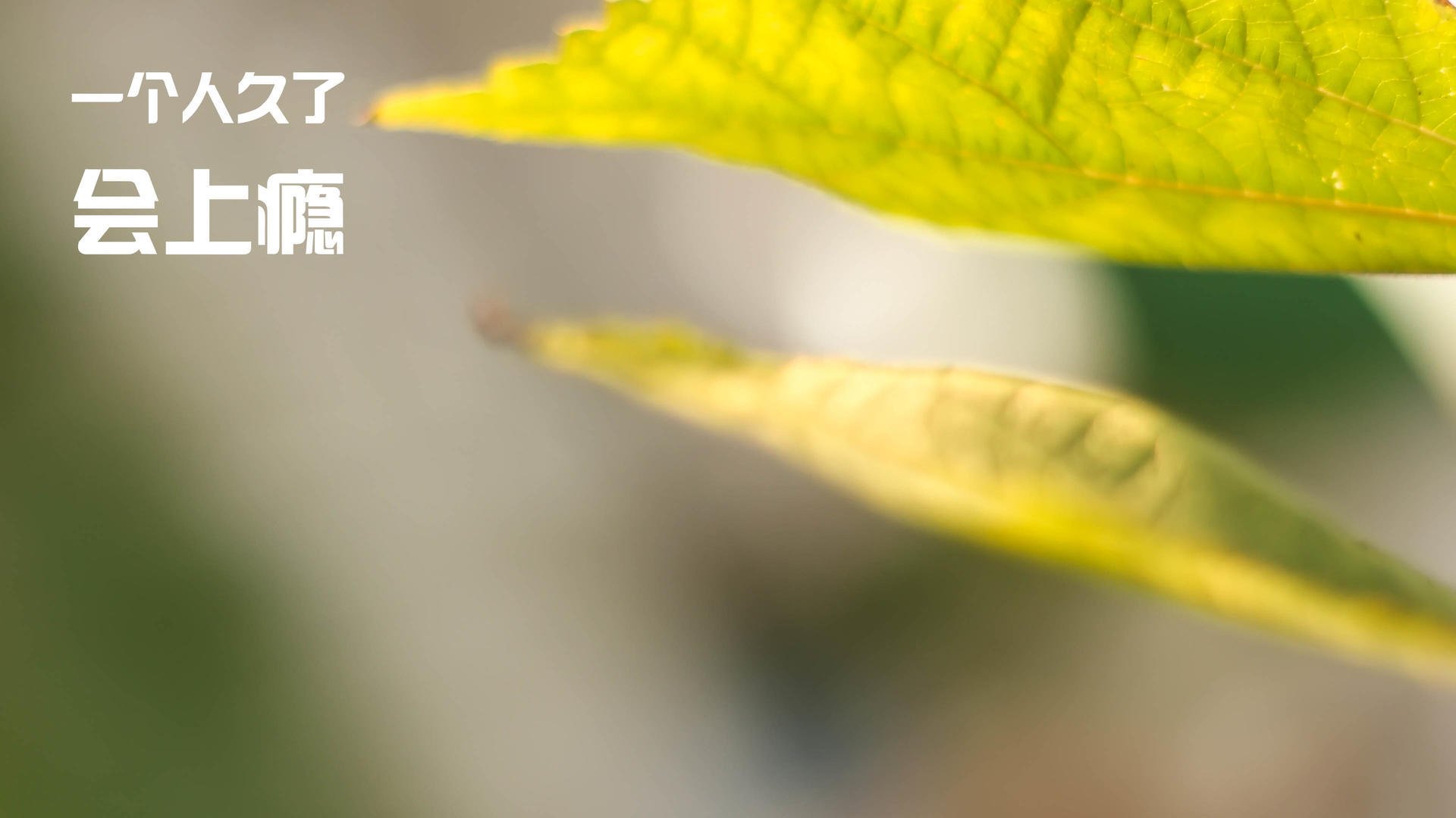 虚拟对决，当东方霸主遭遇字母哥，保罗的8分钟改变篮球宇宙