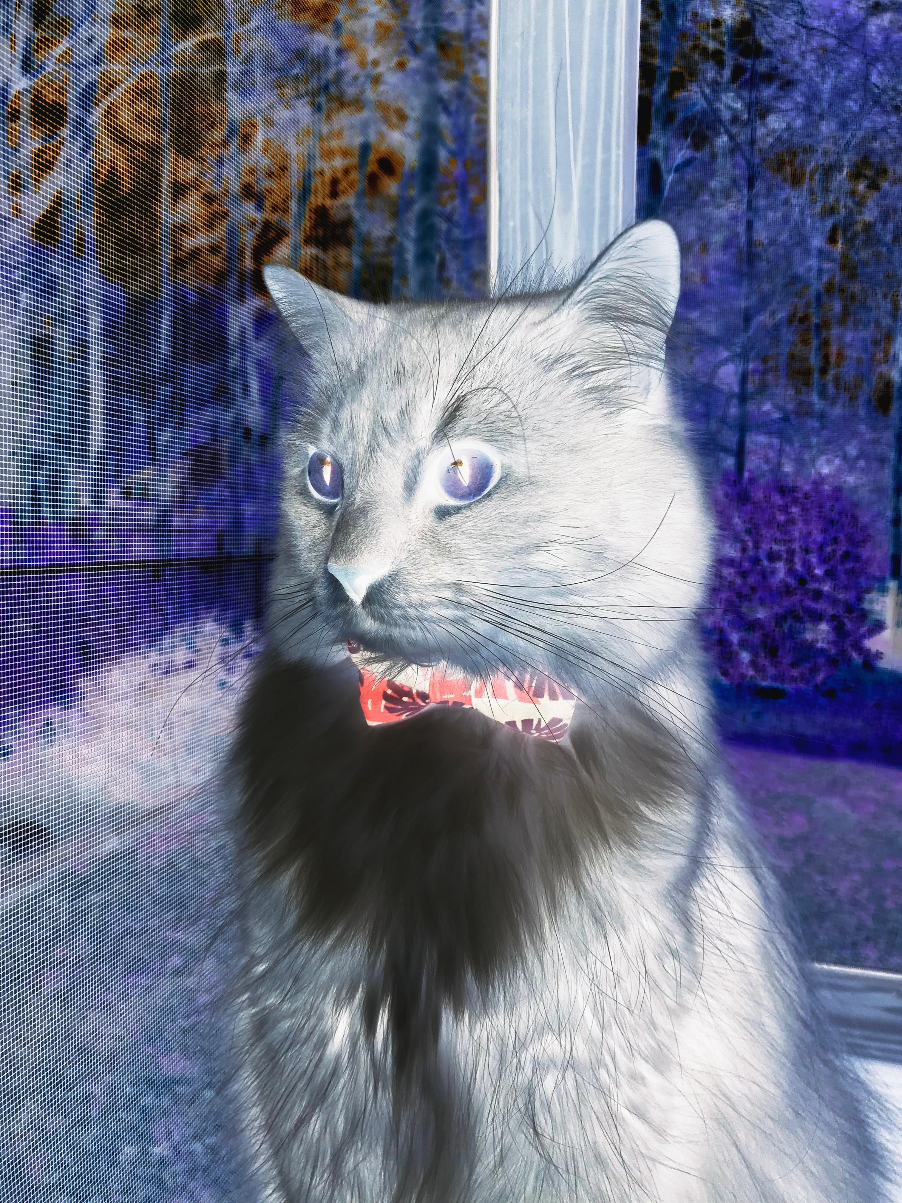 虚拟对决，当东方霸主遭遇字母哥，保罗的8分钟改变篮球宇宙