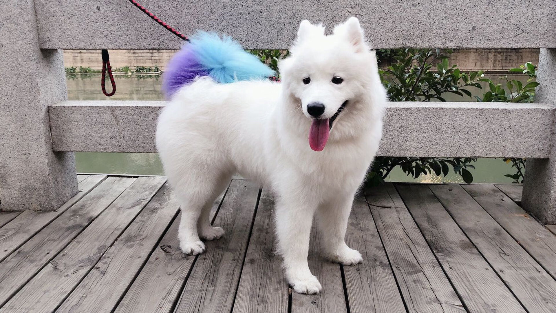 雷火电竞亚洲先驱-流星只为一夜璀璨，当哈登的完美定义欧冠淘汰赛