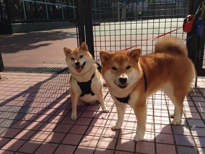 双线开季，F1新赛季揭幕战燃情巴林，凯尔特人开局稳胜灰熊