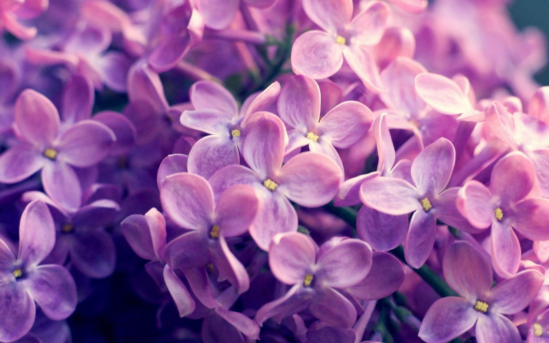 格纳布里百球里程碑!冰与火之歌响彻尤文新阿尔卑球场