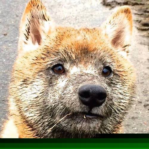 雷火电竞-昨夜，足球宇宙中的两记惊雷，格纳布里轰开质疑，哥伦比亚用冷诠释南美狂野